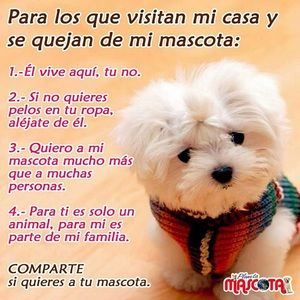 Meet your Posher, Lilian